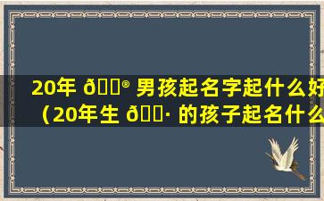 20年 💮 男孩起名字起什么好（20年生 🌷 的孩子起名什么字好）